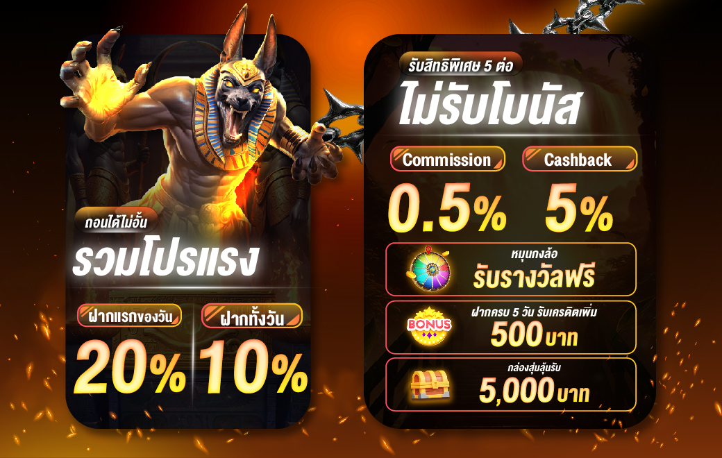 สินค้าโปรโมท
