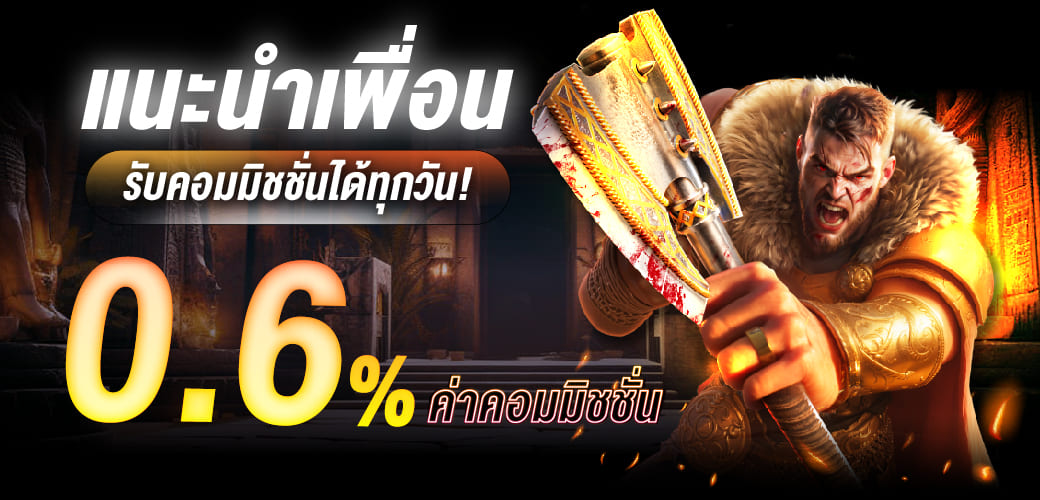 สินค้าโปรโมท